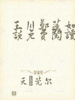 王川郑莲如的小说免费阅读全文