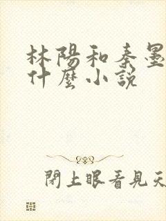 林阳和秦墨浓是什么小说封面