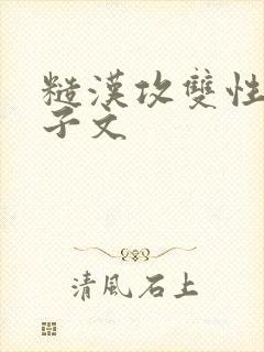 糙汉攻双性受生子文