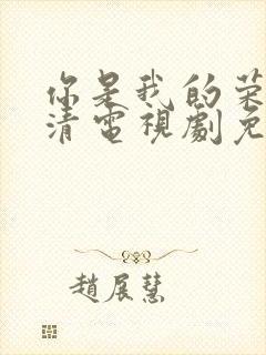 你是我的荣耀高清电视剧免费观看