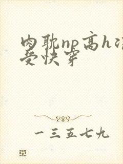 肉耽np高h浪受快穿