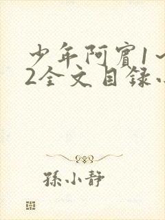 少年阿宾1～72全文目录小说