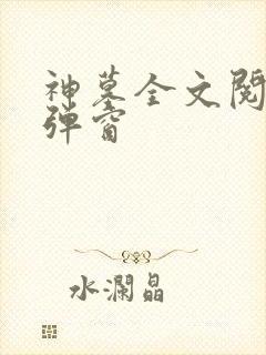 神墓全文阅读无弹窗