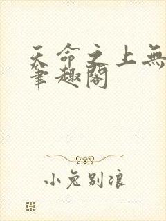 天命之上无删减笔趣阁