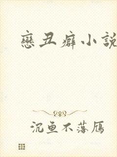 恋丑癖小说封面