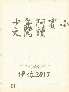 少年阿宾小说全文阅读