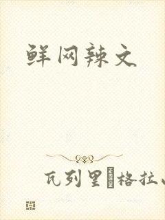 鲜网辣文封面