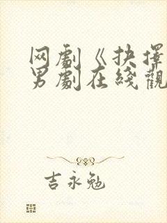 网剧《抉择》双男剧在线观看