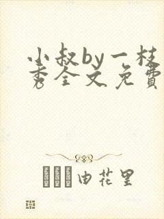 小叔by一枝独秀全文免费阅读笔趣阁最