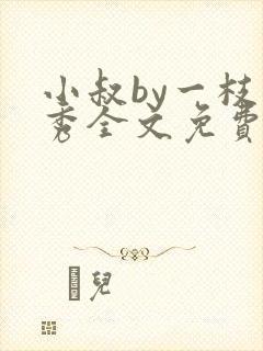 小叔by一枝独秀全文免费阅读笔趣阁最