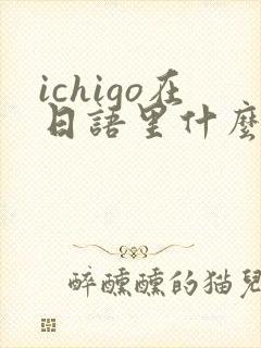 ichigo在日语里什么意思
