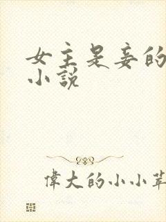 女主是妾的古言小说