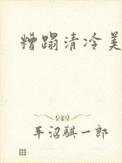 糟蹋清冷美人h