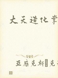 大天造化掌封面