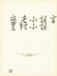 恋老小说言情网农村小说