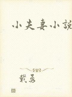 小夫妻小说