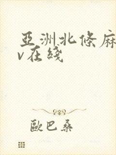 亚洲北条麻妃av在线