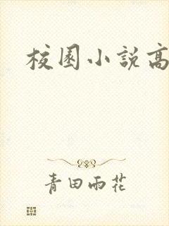 校园小说高h