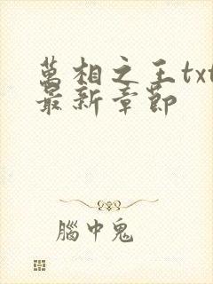 万相之王txt最新章节