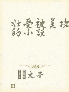 壮受被美攻嫌弃的小说