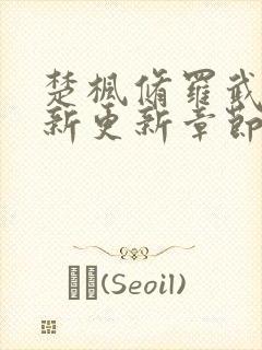 楚枫修罗武神最新更新章节