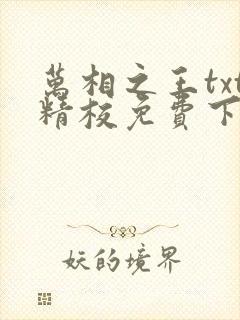 万相之王txt精校免费下载封面