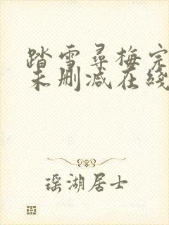 踏雪寻梅完整版未删减在线免费观看