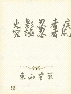 火影忍者疾风传究极忍者风暴3