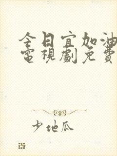 今日宜加油高清电视剧免费观看