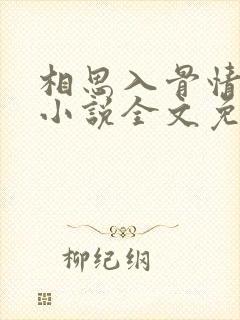 相思入骨情可待小说全文免费阅读