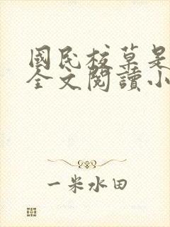 国民校草是女生全文阅读小说