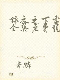 锦衣之下电视剧全集免费观看高清