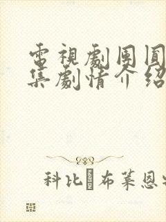 电视剧团圆40集剧情介绍封面