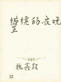 缠绕的夜晚双男主