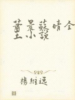 萧晨苏晴全能兵王小说封面