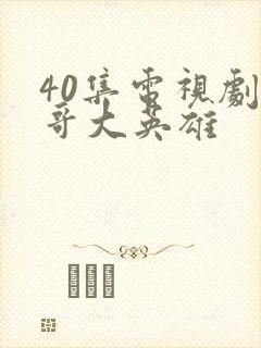 40集电视剧飞哥大英雄封面