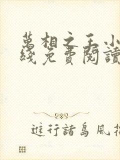 万相之王小说在线免费阅读封面