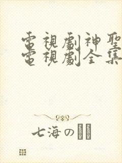 电视剧神圣使命电视剧全集24