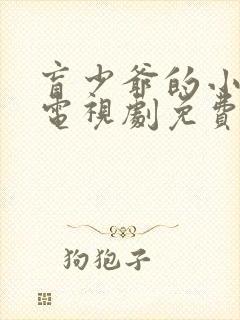 盲少爷的小女仆电视剧免费观看全集