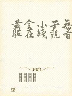 黄金小子无删减版在线观看