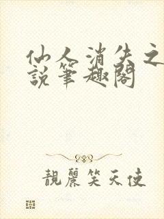 仙人消失之后小说笔趣阁封面