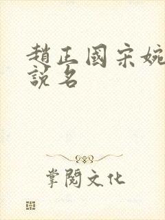 赵正国宋婉清小说名