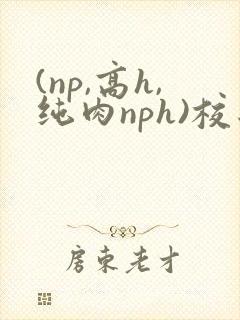 (np,高h,纯肉nph)校园