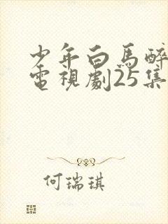 少年白马醉春风电视剧25集免费观看