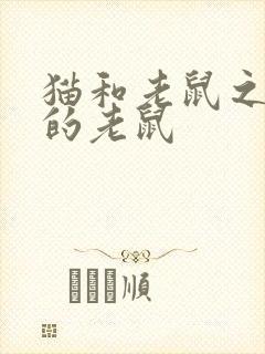 猫和老鼠之消失的老鼠