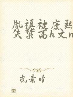 胤禛被康熙肉到失禁高h文np封面