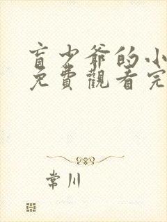 盲少爷的小女仆免费观看完整版