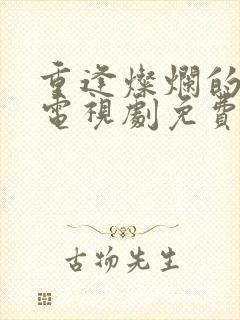 重逢灿烂的日子电视剧免费观看封面