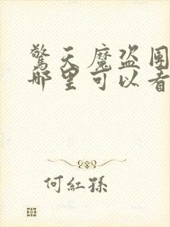 惊天魔盗团2在哪里可以看封面