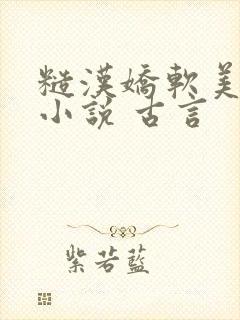 糙汉娇软美人的小说 古言